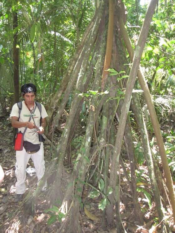 Amazon Rainforest - Tarantula Tours