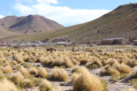 Bolivia Salt Flat Tour, Day 1