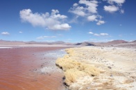 Bolivia Salt Flat Tour, Day 2